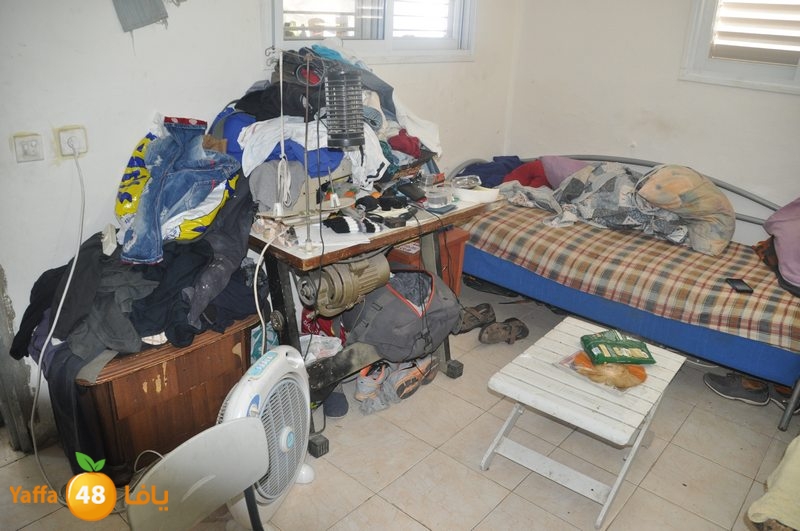 lud family boor (2).JPG